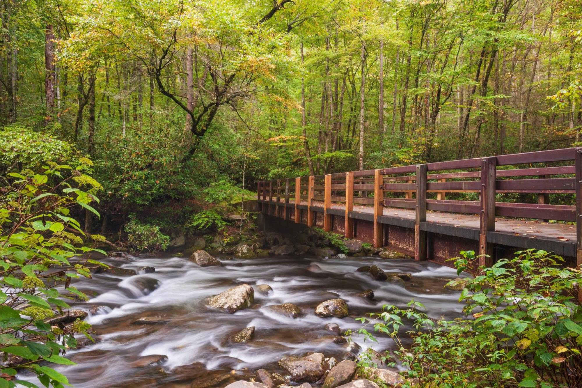 Vila Amazing Grace-1089 Of Free Area Attraction Tickets For Each Paid Day!!! Sevierville Exteriér fotografie